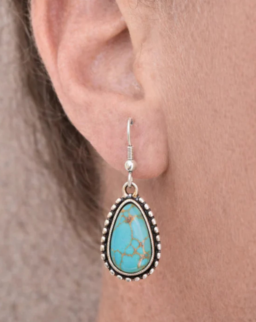 Navajo Dangle Earrings